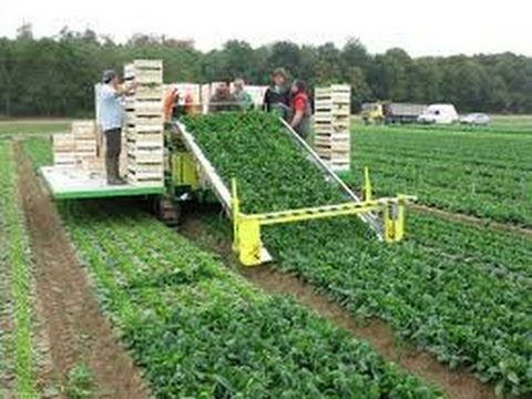 Agricultural Machinery Spare Parts